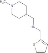 [(1-Methylpiperidin-4-yl)methyl]-(2-thienyl-methyl)amine