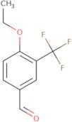 4-Ethoxy-3-(trifluoromethyl)benzaldehyde