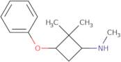 N,2,2-Trimethyl-3-phenoxycyclobutan-1-amine