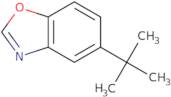 5-(tert-Butyl)benzoxazole