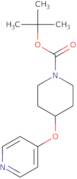tert-Butyl 4-(pyridin-4-yloxy)piperidine-1-carboxylate