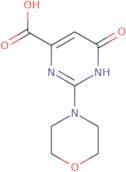 2-Morpholino-6-oxo-1,6-dihydropyrimidine-4-carboxylic acid