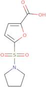 5-(Pyrrolidine-1-sulfonyl)furan-2-carboxylic acid