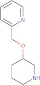 2-[(Piperidin-3-yloxy)methyl]pyridine