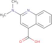 2-(Dimethylamino)quinoline-4-carboxylic acid