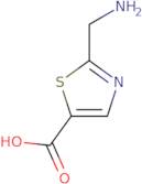 2-(Aminomethyl)thiazole-5-carboxylic Acid