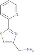 [2-(Pyridin-2-yl)-1,3-thiazol-4-yl]methanamine