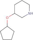 3-(Cyclopentyloxy)piperidine