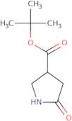 tert-Butyl 5-oxopyrrolidine-3-carboxylate