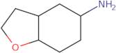 Octahydro-1-benzofuran-5-amine