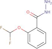 2-(Difluoromethoxy)benzohydrazide