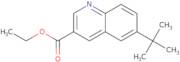 Ethyl 6-tert-butylquinoline-3-carboxylate