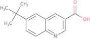 6-(tert-Butyl)quinoline-3-carboxylic acid