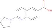 2-(Pyrrolidin-1-yl)quinoline-6-carboxylic acid