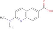 2-(Dimethylamino)quinoline-6-carboxylic acid