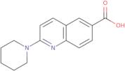 2-(Piperidin-1-yl)quinoline-6-carboxylic acid