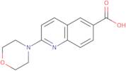 2-Morpholinoquinoline-6-carboxylic acid