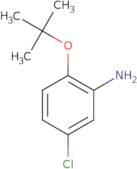 2-tert-Butoxy-5-chloroaniline