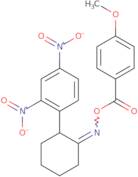 N-[2-(2,4-Dinitrophenyl)cyclohexyliden]-N-[(4-methoxybenzoyl)oxy]amine