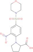 1-[4-(Morpholine-4-sulfonyl)-2-nitrophenyl]pyrrolidine-2-carboxylic acid