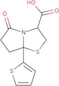 5-Oxo-7a-thiophen-2-yl-2,3,6,7-tetrahydropyrrolo[2,1-b][1,3]thiazole-3-carboxylic acid