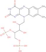 Riboflavin 4',5'-diphosphate