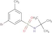 t-Butyl 3-Bromo-5-methylbenzenesulfonamide