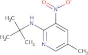 2-t-Butylamino-5-methyl-3-nitropyridine