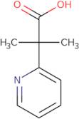 2-Methyl-2-(pyridin-2-yl)propanoic acid
