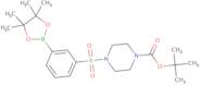 tert-Butyl 4-((3-(4,4,5,5-tetramethyl-1,3,2-dioxaborolan-2-yl)phenyl)sulfonyl)piperazine-1-carbo...