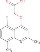 N-{2-[(4-Chlorophenyl)thio]ethyl}-3-methoxy-1-propanamine hydrochloride