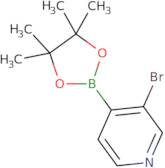 3-Bromopyridine-4-boronic acid pinacol ester