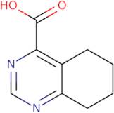 5,6,7,8-Tetrahydroquinazoline-4-carboxylic acid