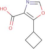 5-Cyclobutyl-1,3-oxazole-4-carboxylic acid