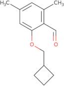 2-(Cyclobutylmethoxy)-4,6-dimethylbenzaldehyde