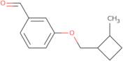 3-((2-Methylcyclobutyl)methoxy)benzaldehyde