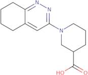 1-(5,6,7,8-Tetrahydrocinnolin-3-yl)piperidine-3-carboxylic acid