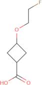 3-(2-Fluoroethoxy)cyclobutane-1-carboxylic acid