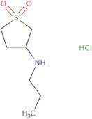 3-(Propylamino)-1λ6-thiolane-1,1-dione hydrochloride