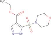 Ethyl 3-(morpholine-4-sulfonyl)-1H-pyrazole-4-carboxylate