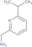 1-[6-(Propan-2-yl)pyridin-2-yl]methanamine