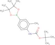 4-(Boc-Amino)-3-methylphenylboronic acid pinacol ester