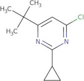 4-tert-Butyl-6-chloro-2-cyclopropylpyrimidine