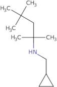 (Cyclopropylmethyl)(2,4,4-trimethylpentan-2-yl)amine