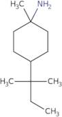 1-Methyl-4-(2-methylbutan-2-yl)cyclohexan-1-amine