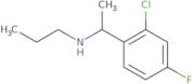 [1-(2-Chloro-4-fluorophenyl)ethyl](propyl)amine