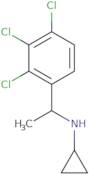 N-[1-(2,3,4-Trichlorophenyl)ethyl]cyclopropanamine