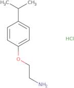1-(2-Aminoethoxy)-4-(propan-2-yl)benzene hydrochloride