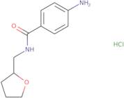 4-Amino-N-(tetrahydro-2-furanylmethyl)benzamide hydrochloride