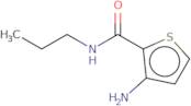 3-Amino-N-propylthiophene-2-carboxamide